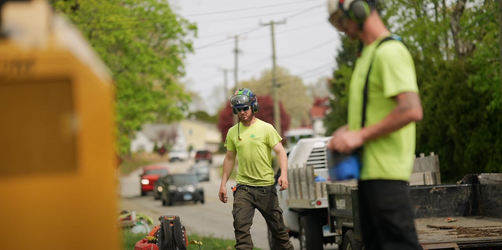 Licensed and insured tree service professionals Professional tree service team with safety equipment working on residential property
