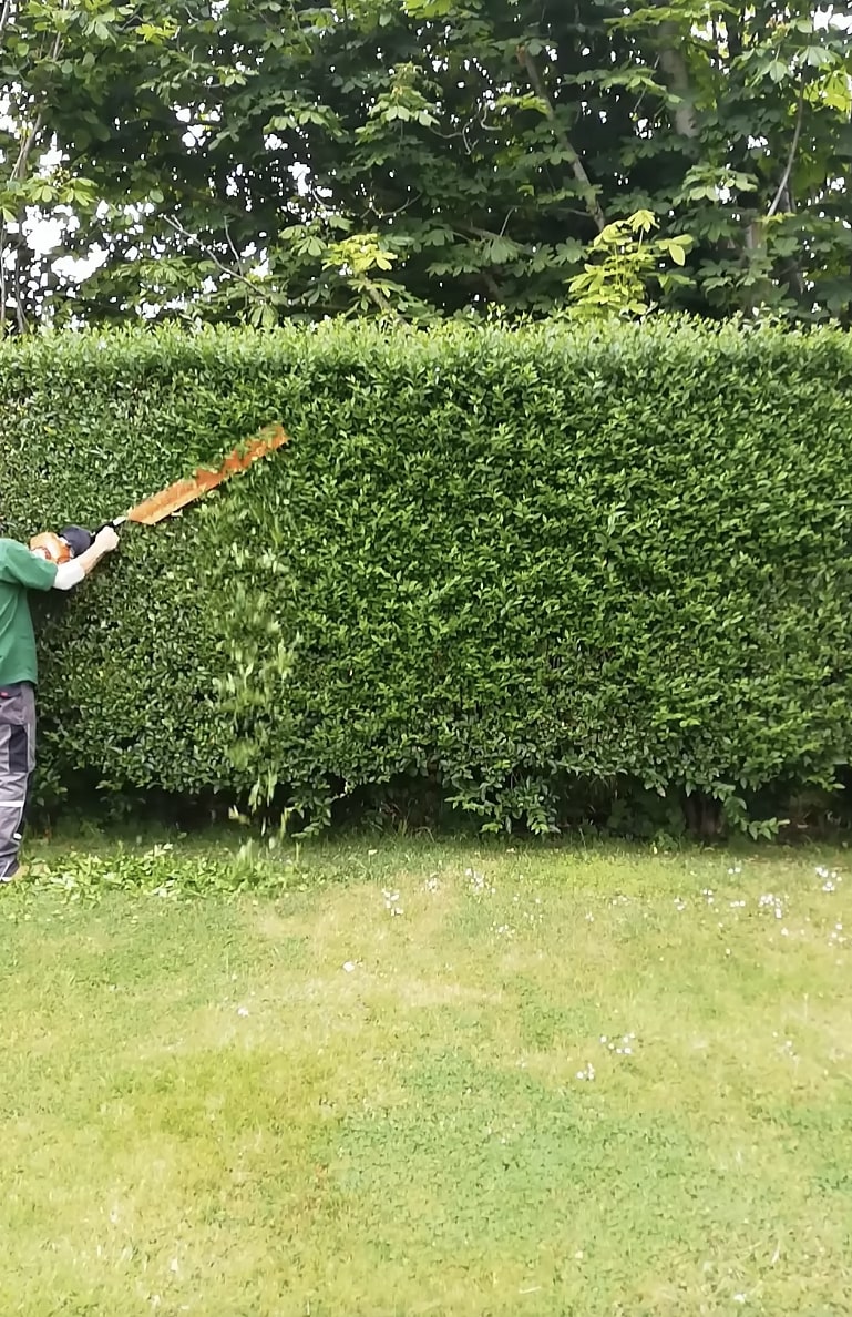 Professional hedge trimming and shrub maintenance Precision hedge trimming and shrub maintenance services for landscaping