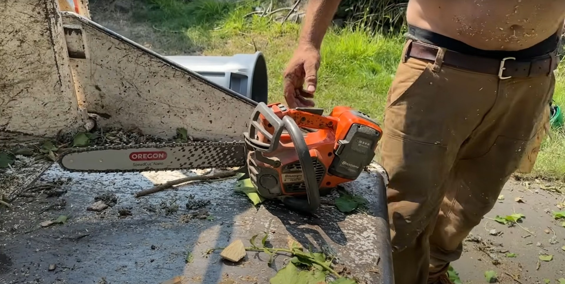 Skilled arborists providing safe tree cutting services Tree service professional operating chainsaw for precision tree cutting