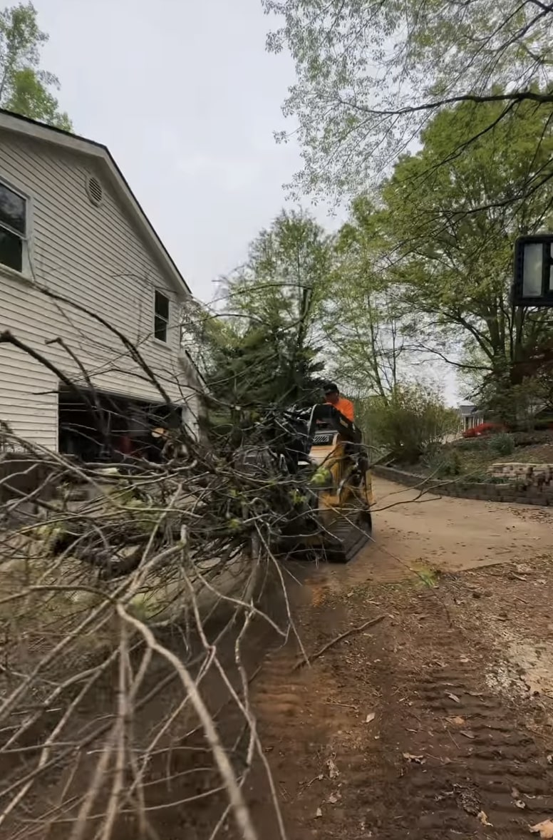 Emergency tree removal and storm damage cleanup services Emergency tree removal after storm damage with professional cleanup in residential area