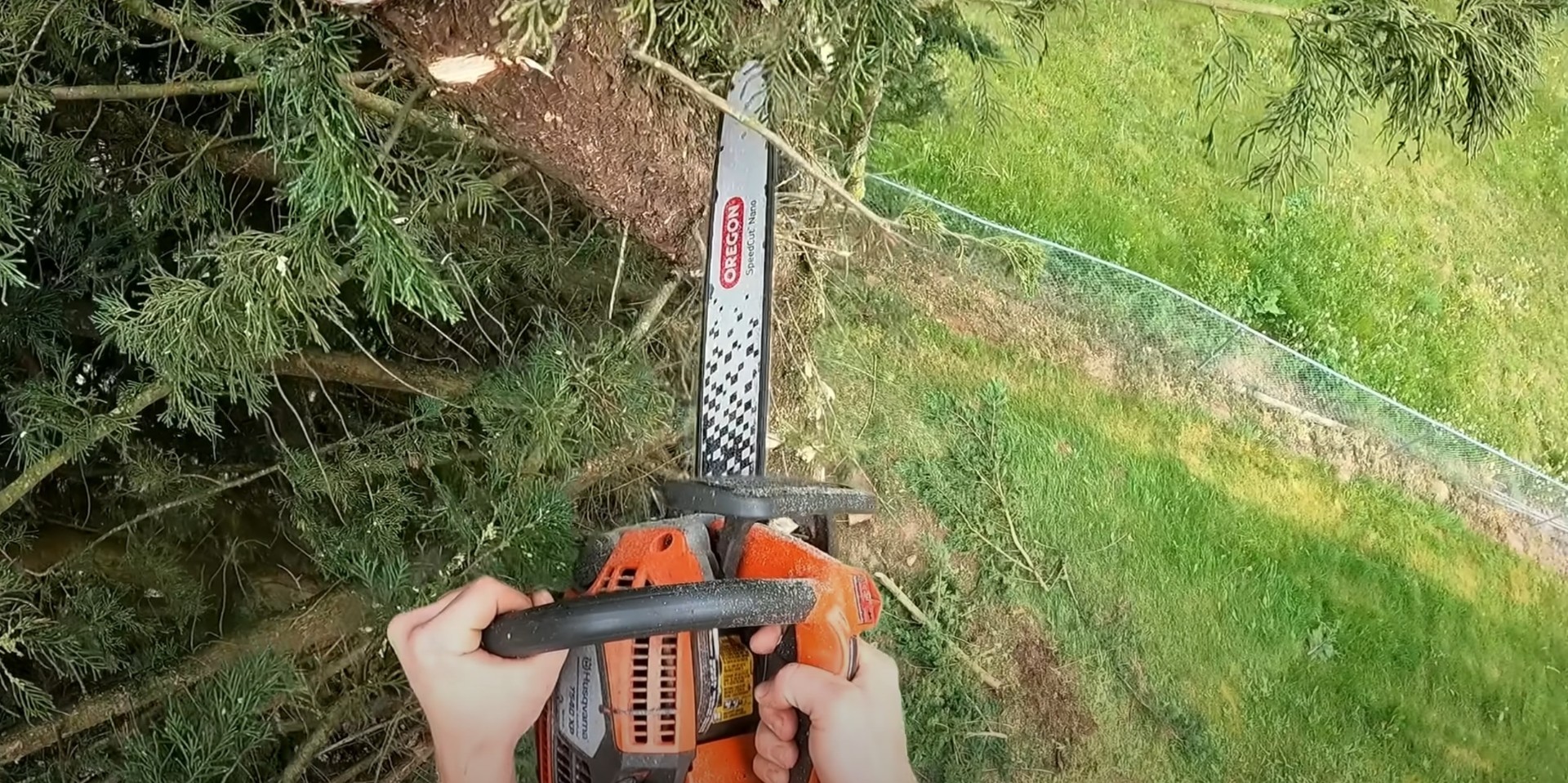 Professional grade tree service equipment and tools Professional chainsaw maintenance and tree cutting equipment preparation