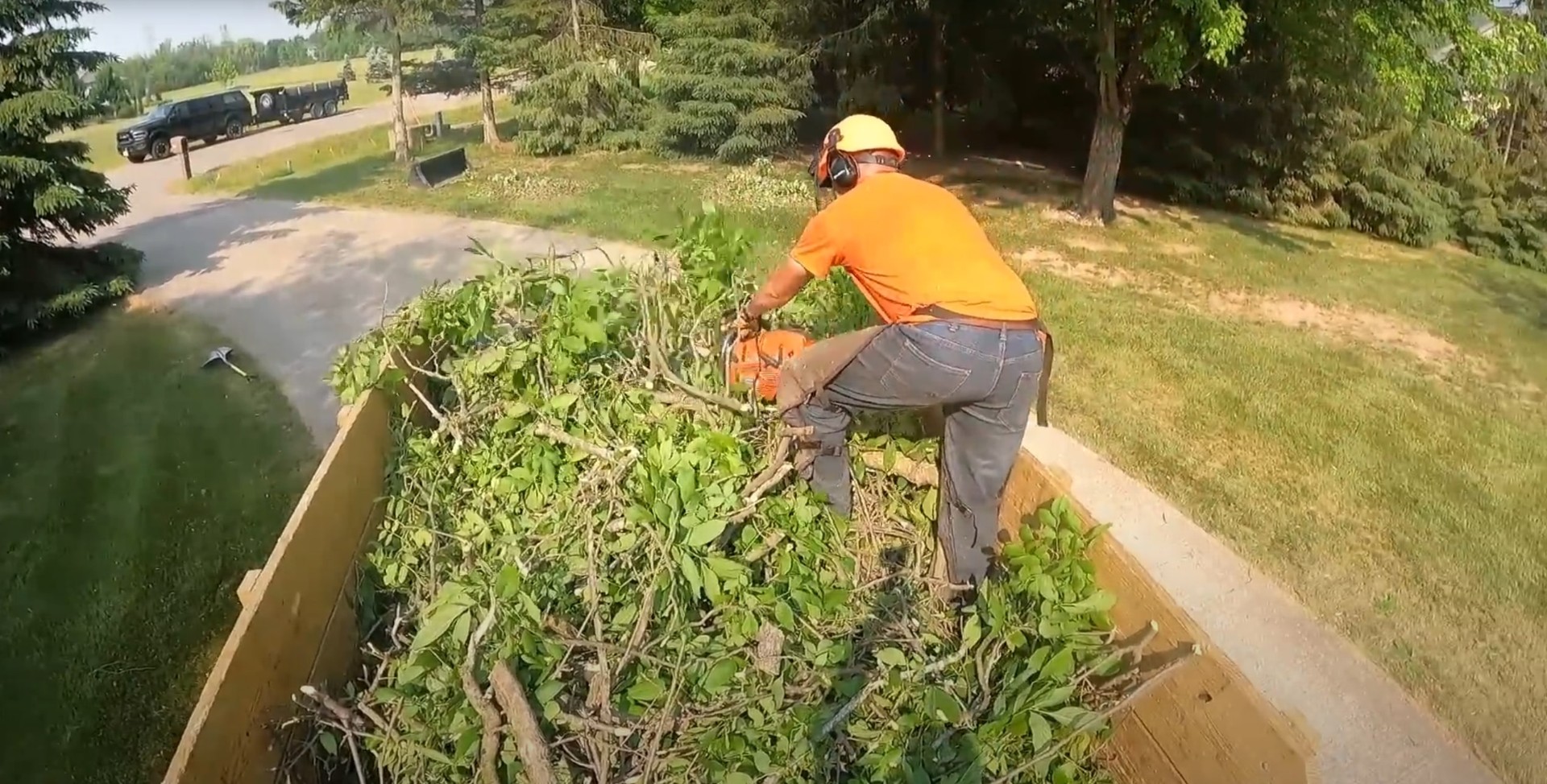 Professional stump grinding and site cleanup Stump grinding services using professional equipment for complete removal